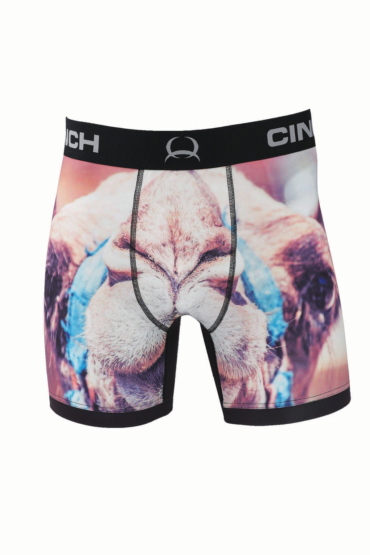 "Camel" briefs