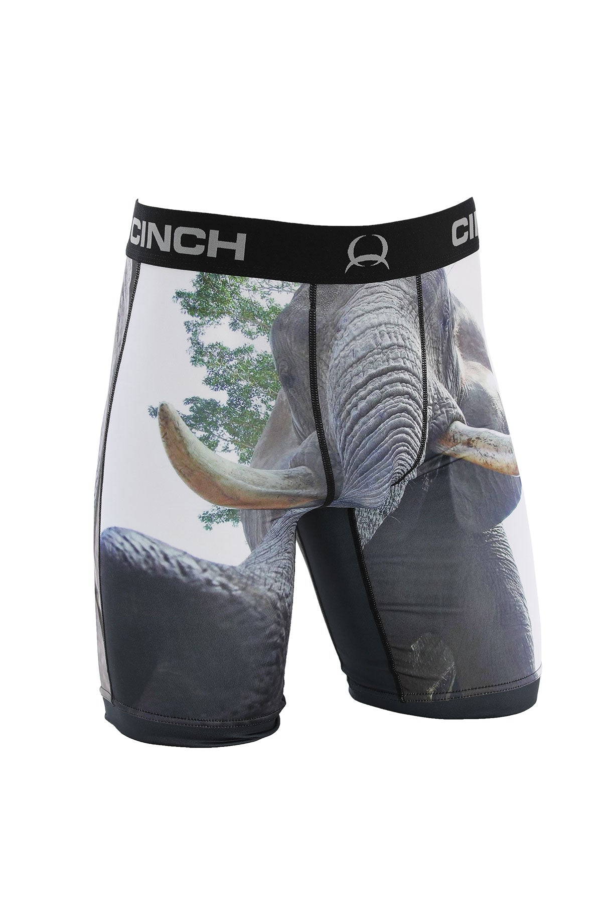 "Elephant" brief