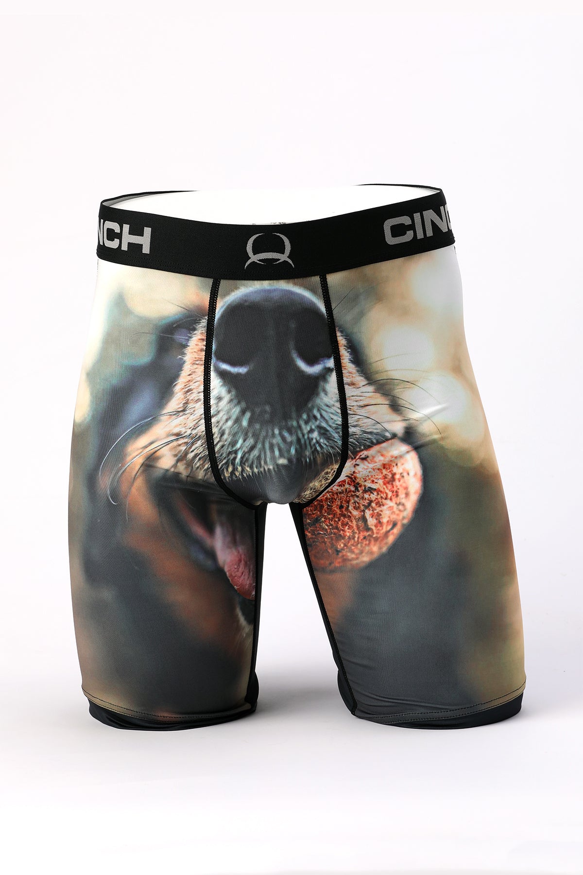 DOG BOXER BRIEF