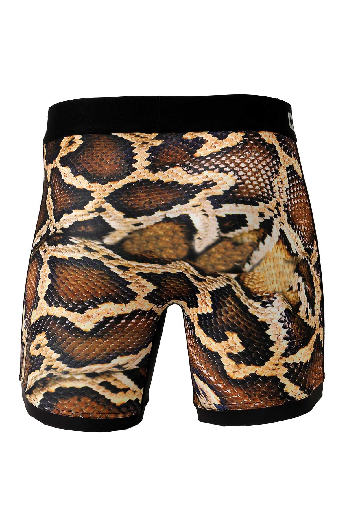 "Python" brief