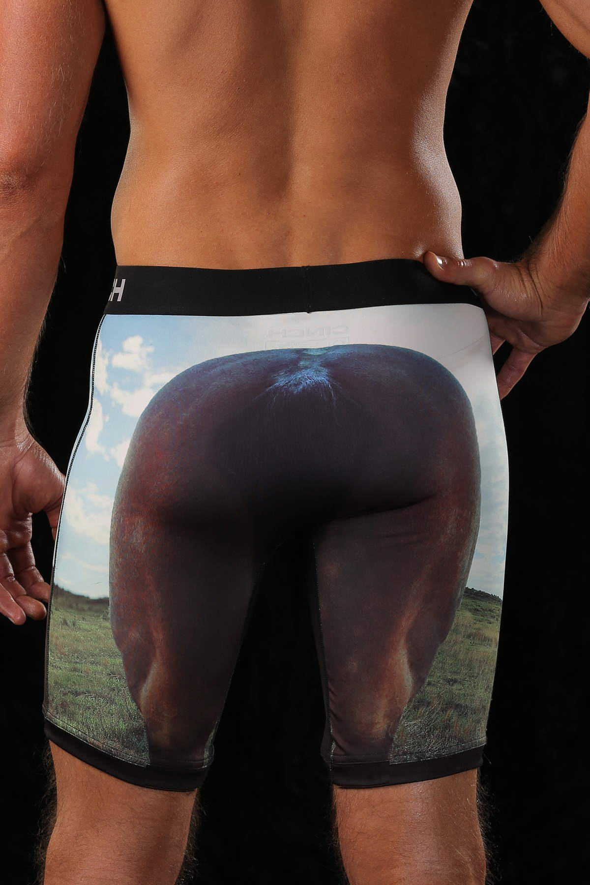 "Horse" briefs