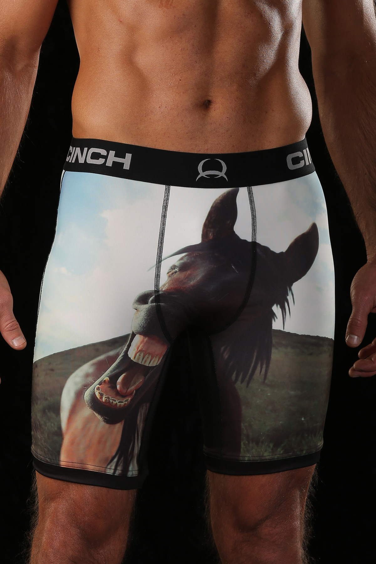 "Horse" briefs