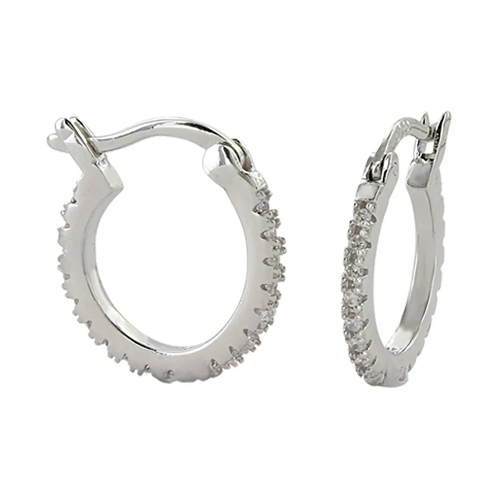 ER3876 Small Hoops