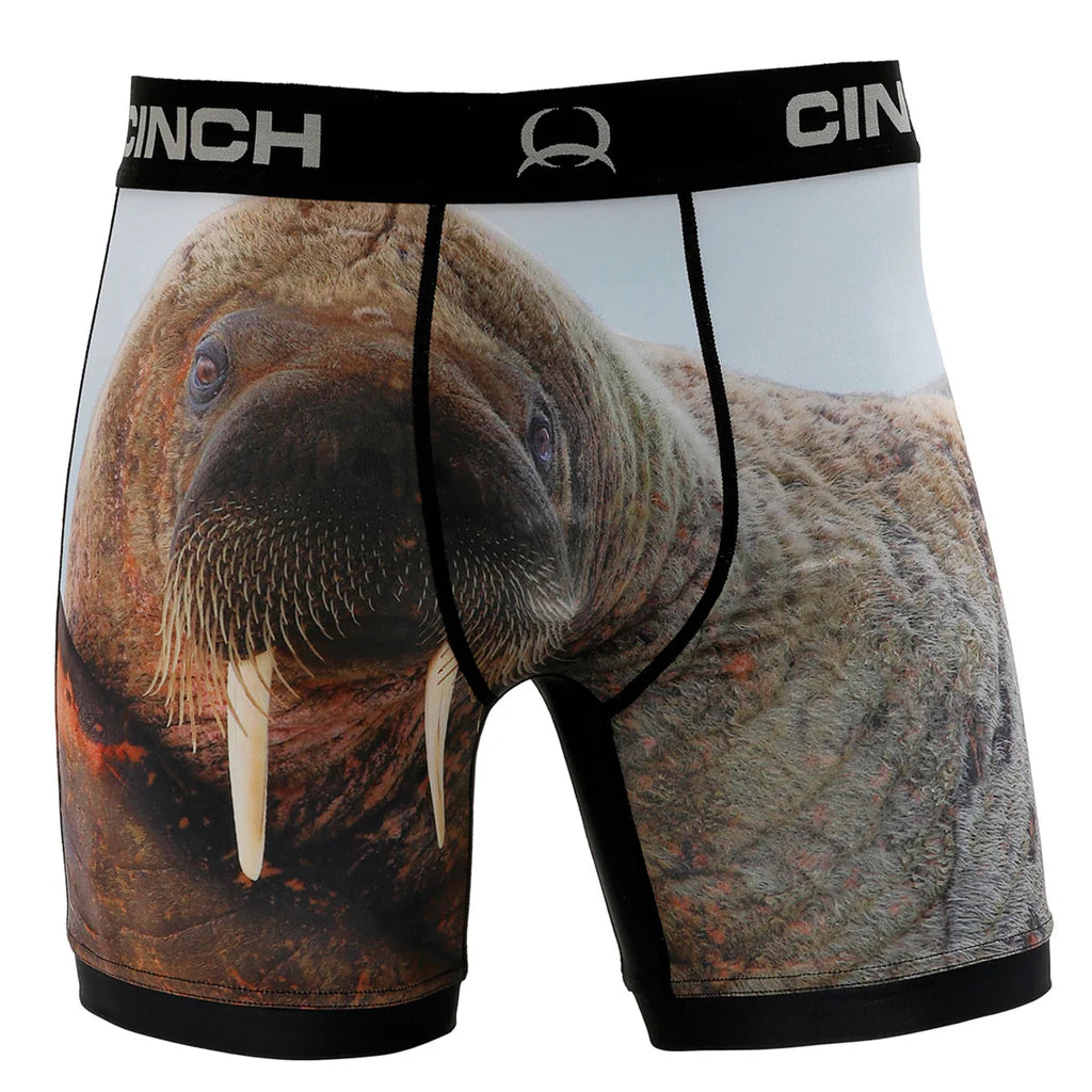 Walrus Brief