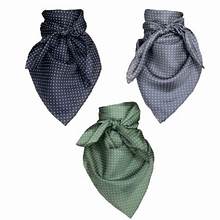 Wild Rags