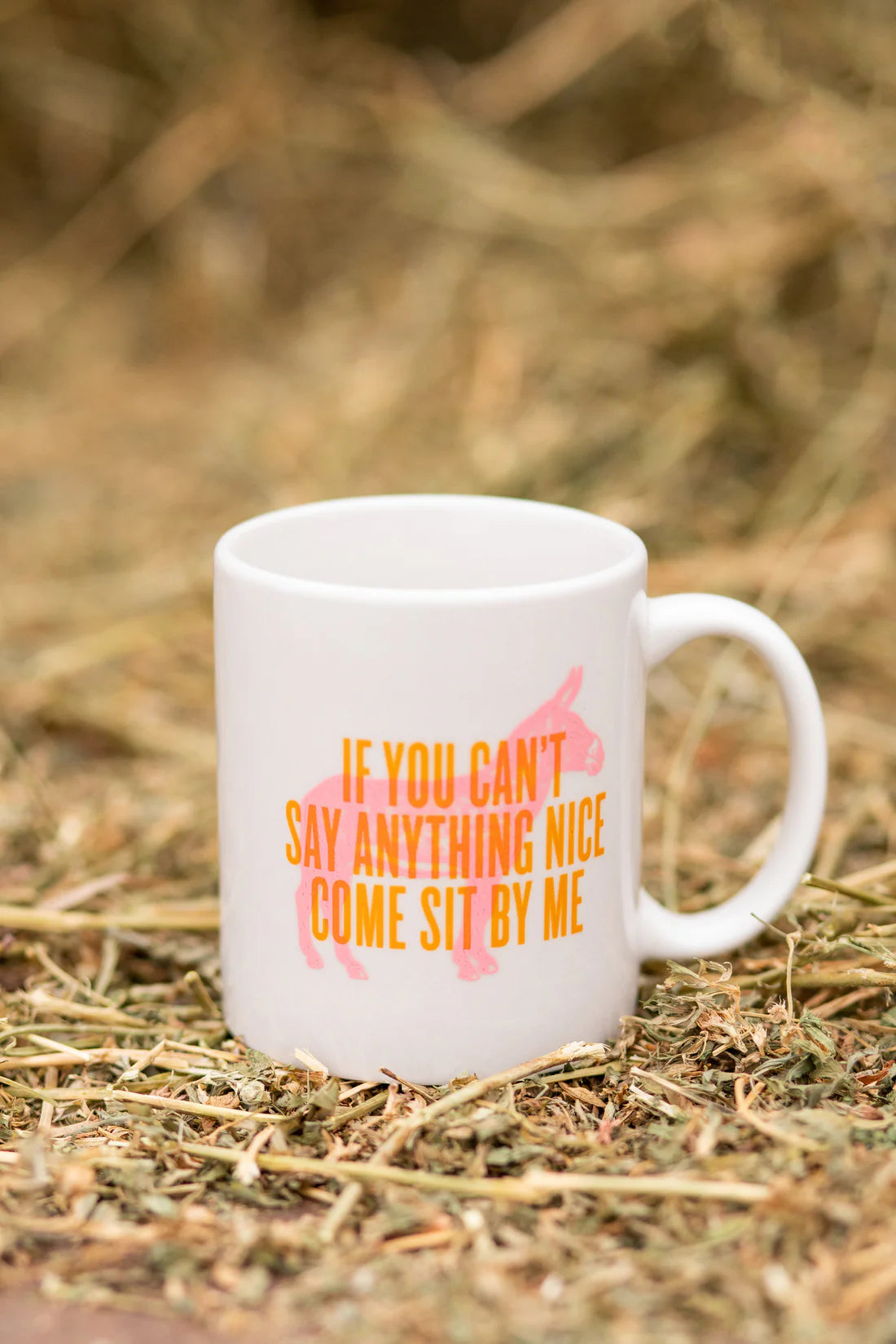 Southern Fried Mugs