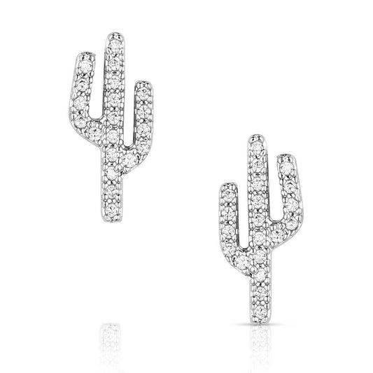 SPARKLING SAGUARO