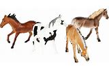 Horse Farm